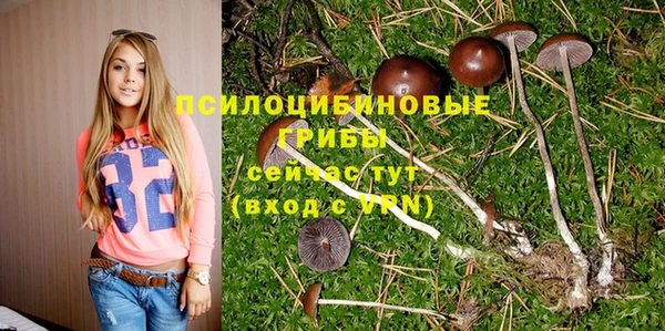таблы Белокуриха