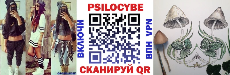 Псилоцибиновые грибы Psilocybe кракен маркетплейс Монино